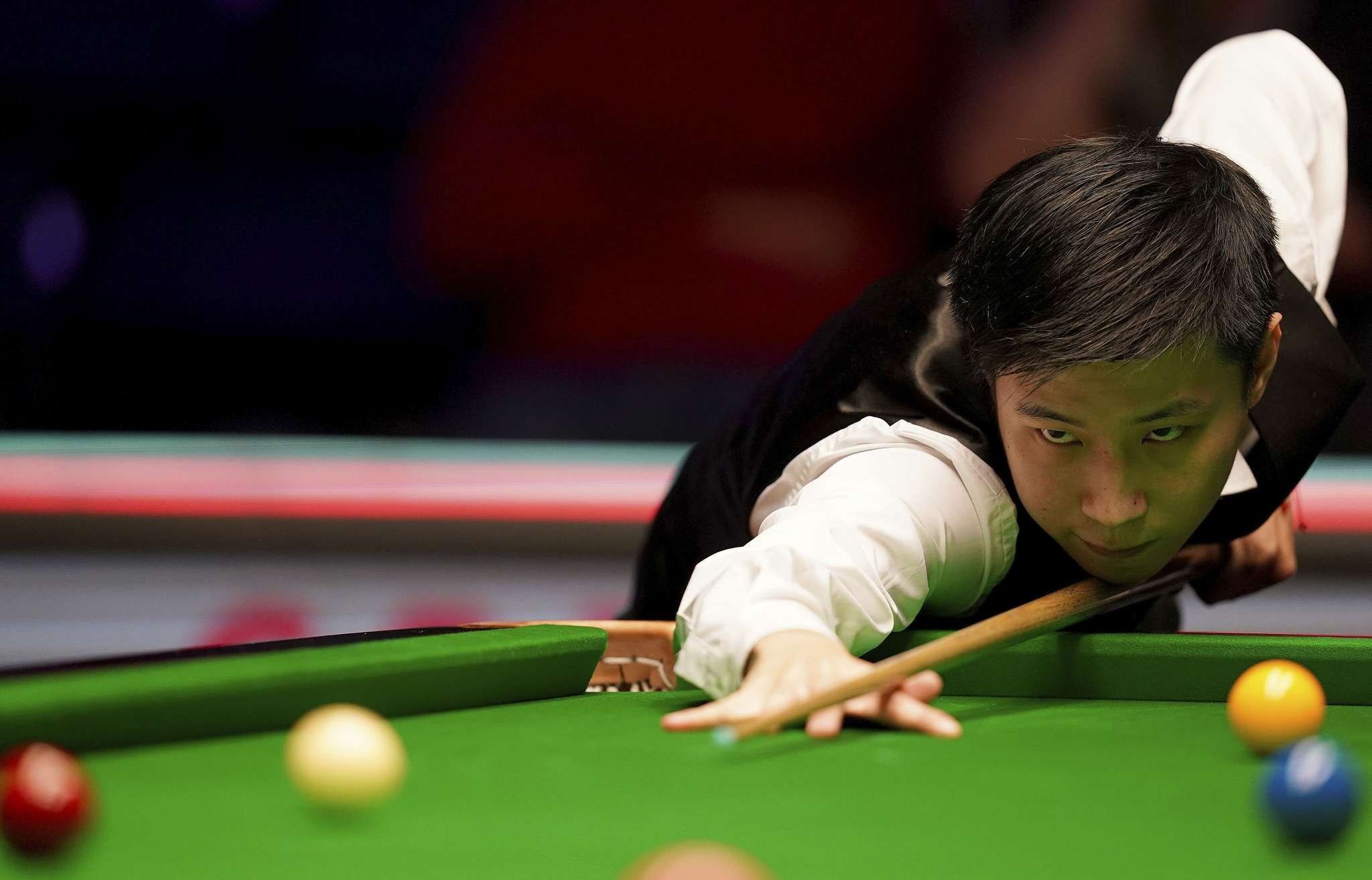 活力和朝气 活力和朝气