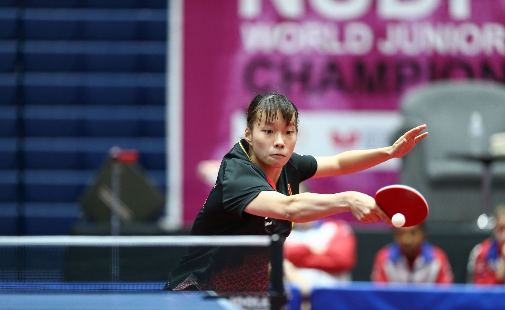 许多国家已 许多国家已